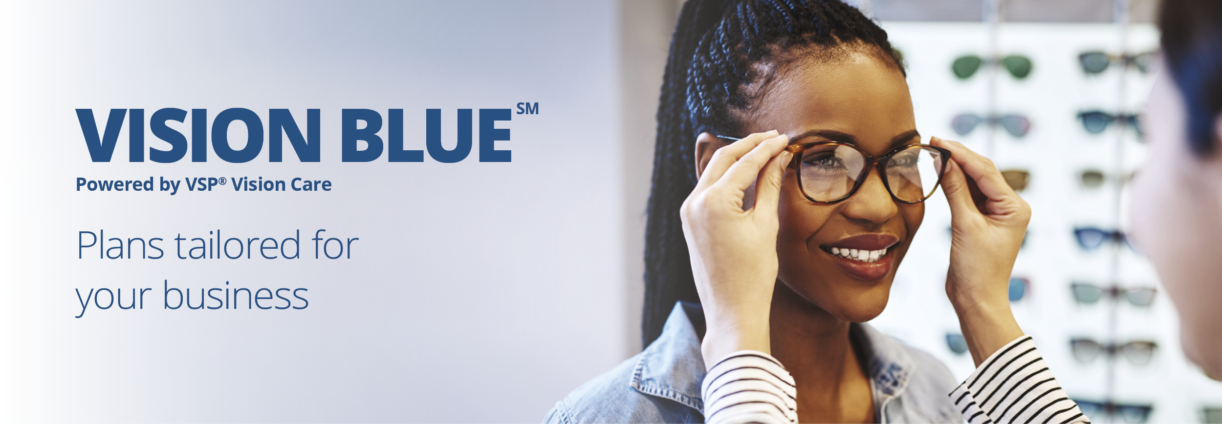 Vision Blue - Plans Tailored For Your Business.